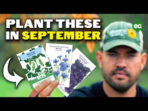 19 Crops to Plant in September ASAP!