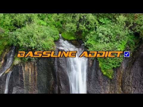 DJ Veteran Vs. Re Flux Mix - Bitch