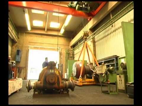 Das Ekzem der Hände des Fotos und der Krankheit Die Behandlung der Schuppenflechte der Vulva