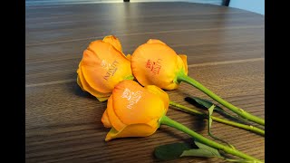 GNFEI flower printer — print logo and photo on rose petal