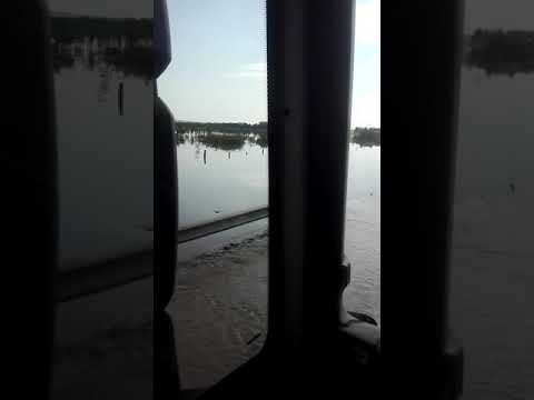 Ploile inundă șoseaua de la Ghizela