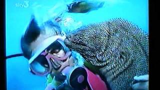 Moray Eel - Ron &amp; Valerie Taylor.mpg