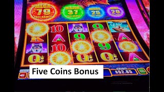 Buffalo Power Pay Slot for the Super Big Win! Aristocrat Game