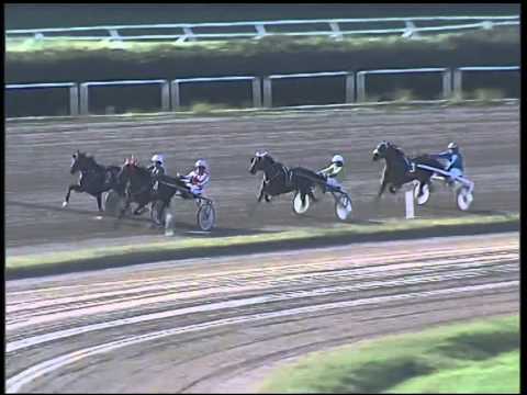 Trotto 02/11/2014 - 2° corsa