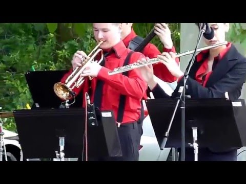 Mám ráda cestu lesní