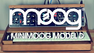 Moog Minimoog Model D: Artist Impressions