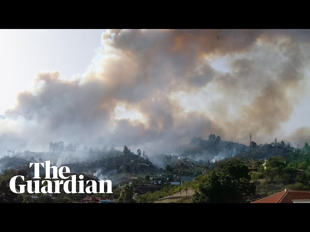 Spain: thousands evacuated from La Palma amid widespread forest fires