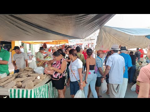 Feira livre de Palmeirina PE 02/02/2026