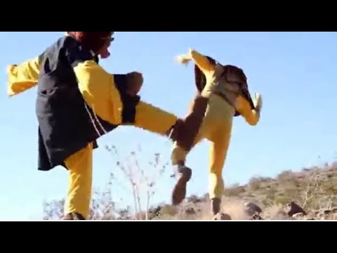 Robot Chicken - Power Forest Rangers