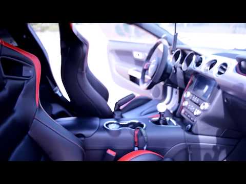 Braum Racing Seats Review(Mustang Gt 15-17)