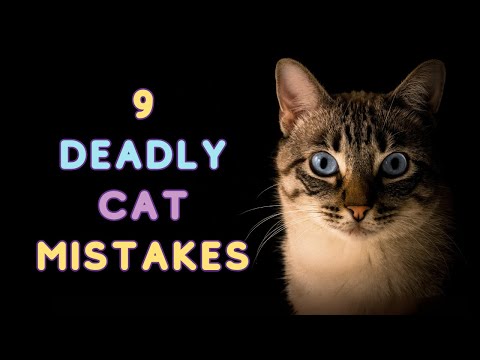 9 DEADLY Cat Sins 🚨
