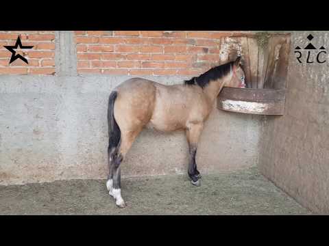 Visita a Rancho La Cofradía en Acatic, Jalisco - Parte 2 de 2