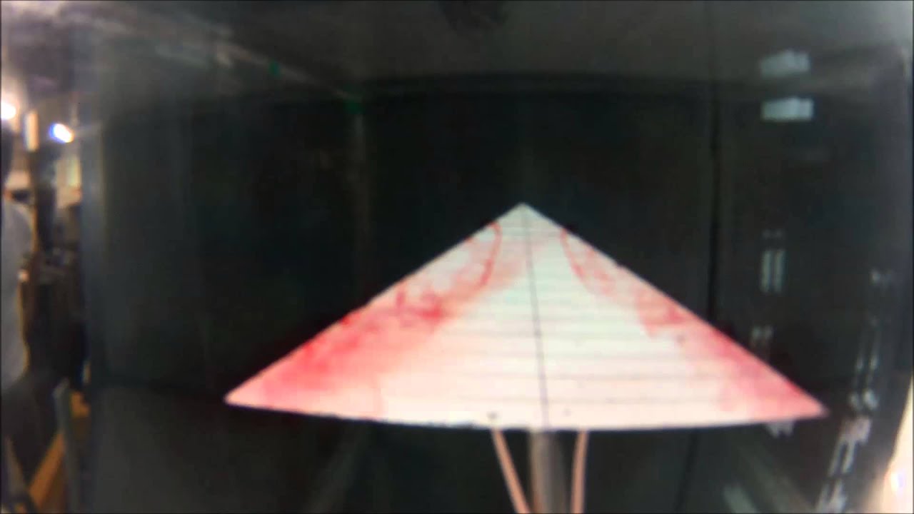 Flow visualization on delta wing