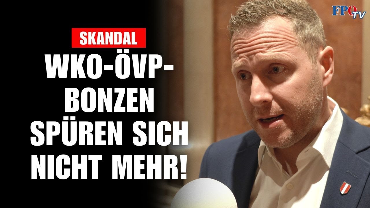WKO-ÖVP-BONZEN spüren sich nicht mehr!
