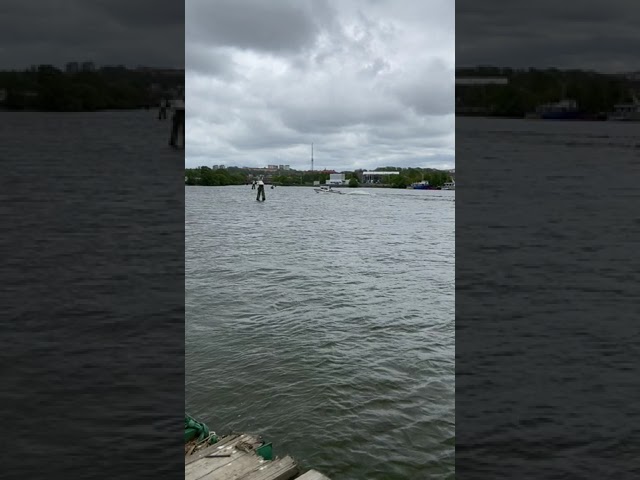 763767 Baltic 800 work boat with Vattenjet, Mercruiser 7.3L diesel V8, Garmin 12 "plotter