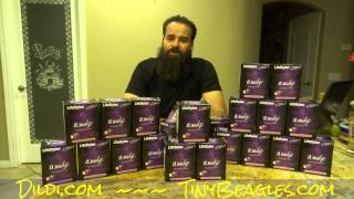 Give Women Pleasure 4 Free Ladies Night