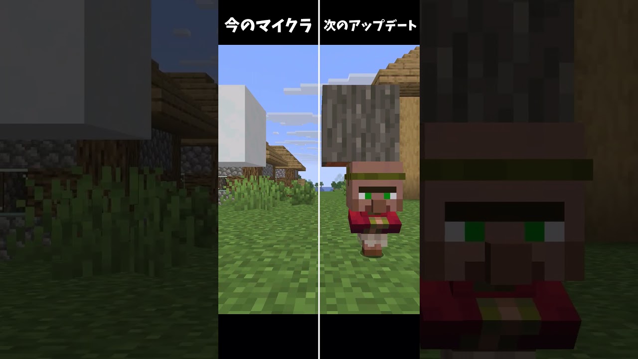 村人の見た目が変更...？【マイクラ】