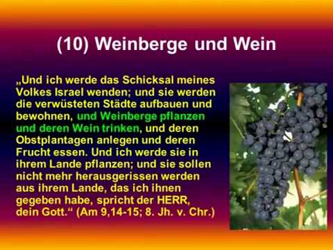 Leben wir wirklich in der Endzeit   Roger Liebi