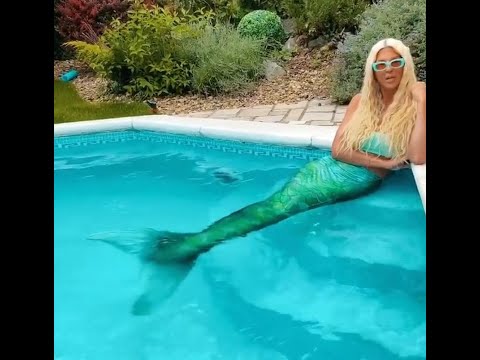 BIVSA ZLATNA RIBICA GRANDA - Lutajuca kamera - Paparazzo