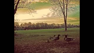 Missippi John Hurt  - "Coffee Blues"