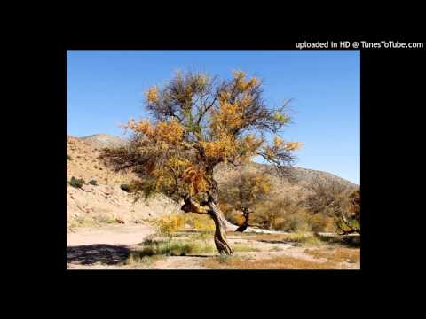 Today's Tango Is... El Chañar - Alfredo De Angelis 28-06-1946