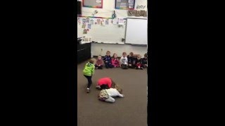 The Old Gray Cat Kleiber