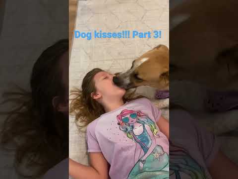 Dog Kisses!!!! 3.0 🐶!