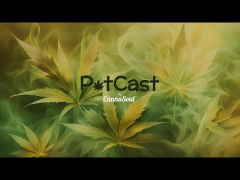 Cannasoul POTcast 𖠞 - Tafrob