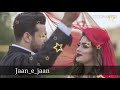 Tum Kya Mile Jaane E Jaan WhatsApp Status