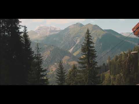 Holz Reiter Sbg GmbH - Forst & Logistikprofi