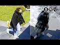Geldrop: Inbreeksters slaan toe op klaarlichte dag