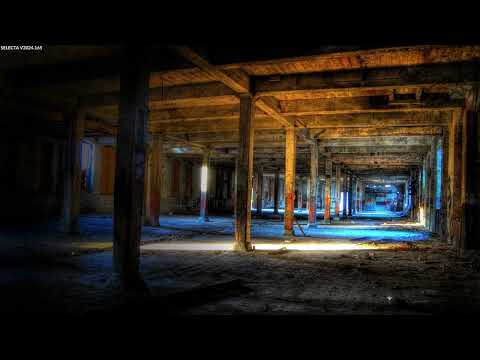 SELECTA V2024.165 (BASS/DUBSTEP/140)