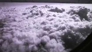 red carpet &amp; rebellion