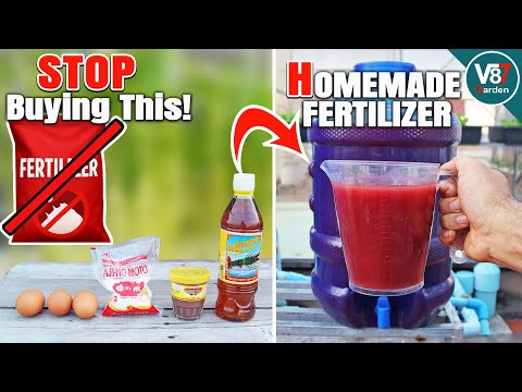 How to Make a Bigger Batch of PSB Fertilizer | Easy Photosynthetic Bacteria for Plant Growth