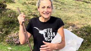 Another Appalousa foal has been born 💥