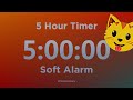 5 Hour Timer (with Soft Alarm Sound) for Sleep and Relaxation