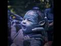 From Before Your Birth And After Your Death Neteyam Neytiri Avatar Avatar2 Fyp Avataredit