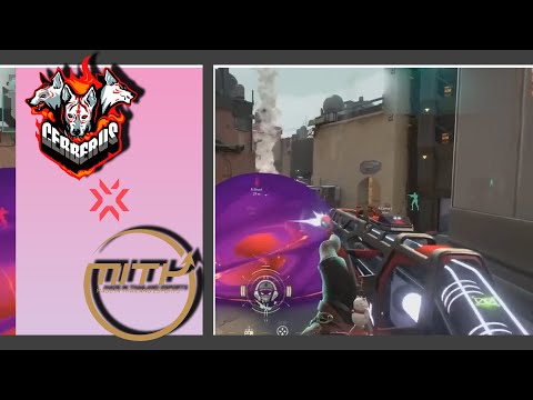 CERBERUS Esports X Made in Thailand | VCT 2022 | APAC Stage 1