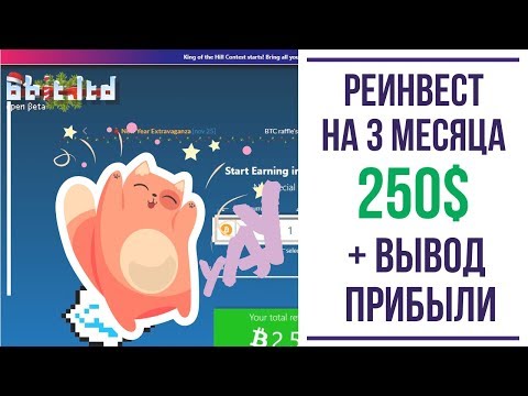 Новый депозит 250 $ и вывод средств из проекта 8Bit