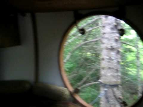 Imagen de previsualización de YouTube