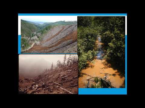 Apes Video Notes For 5 2 Clearcutting