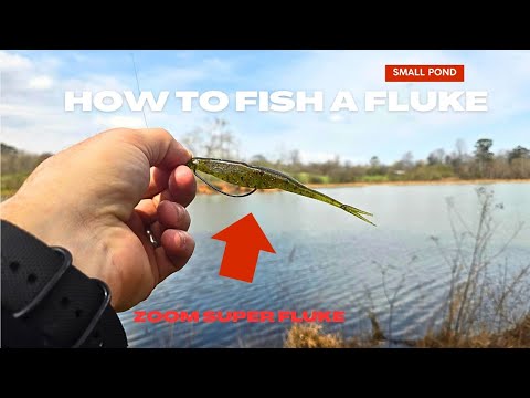 How to Fish a Fluke in Small Ponds (Zoom Super Fluke) Plastic Jerk Bait #zoomfluke #bassfishing