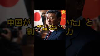 中国が「もう効いた」と判断した圧力 #shorts  #中国 #国際ニュース
