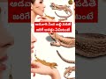 ఆడవారి మీద బల్లి పడితే జరిగే అనర్థం ఏ�