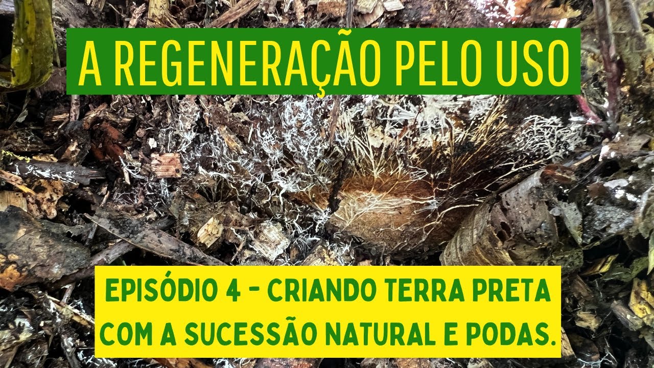 A REGENERAÇÃO PELO USO - EPISÓDIO 4 - Criando terra preta com a sucessão natural e podas.