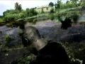 Bloody Oil