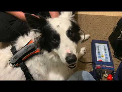 Rocky - from FCE thru Rehab - SD 480p