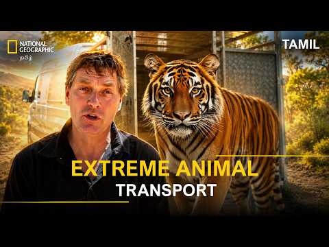 Extreme Animal Transport