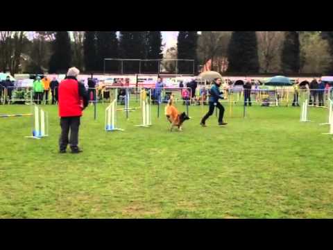 Chris & Jazeerah jump Bonheiden 11/4/2015