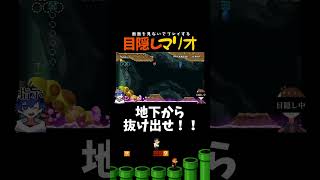 完璧なジャンプ！！！！【目隠しマリオ】